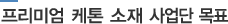 프리미엄 케톤 소재 사업단 목표
